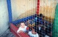 /album/fotos-formaturinha/foto009-jpg1/